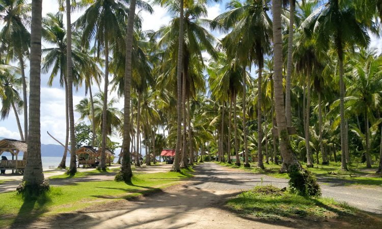 Pantai Ketapang Bahari